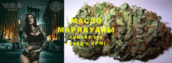 меф Дмитриев