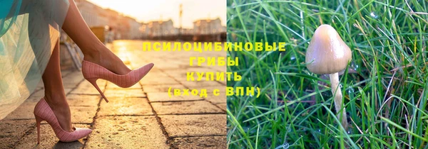 крисы Дмитровск