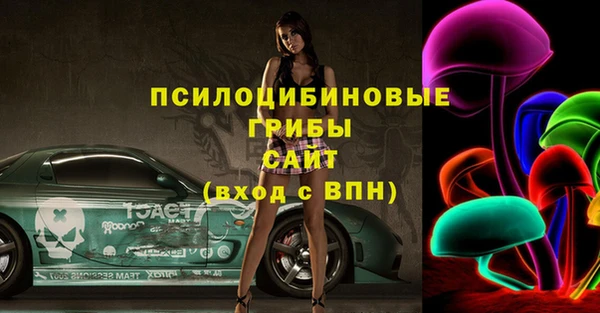 крисы Дмитровск