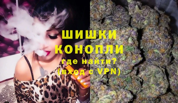 крисы Дмитровск