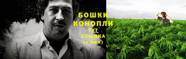 меф Дмитриев