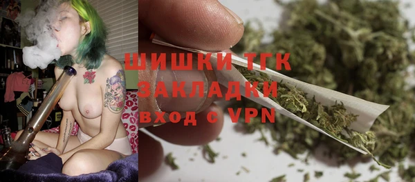 меф Дмитриев